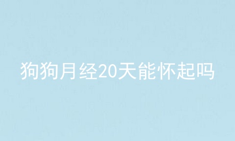 狗狗月经20天能怀起吗