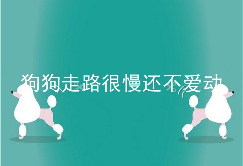 狗狗走路很慢还不爱动