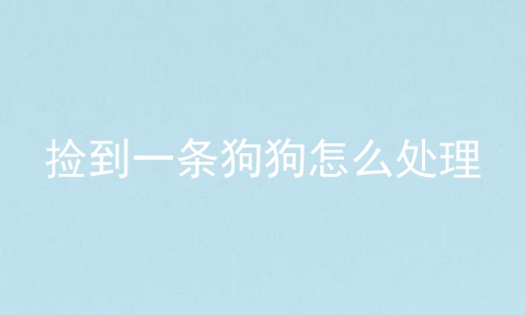 捡到一条狗狗怎么处理
