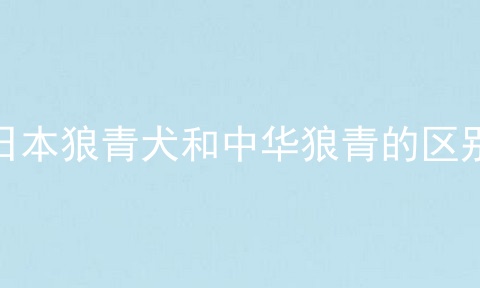 日本狼青犬和中华狼青的区别