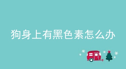 狗身上有黑色素怎么办