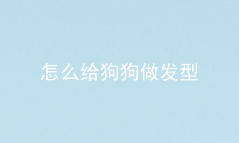 怎么给狗狗做发型