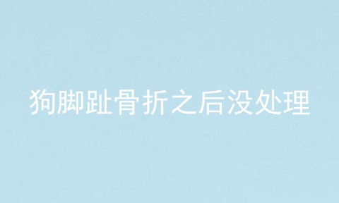 狗脚趾骨折之后没处理