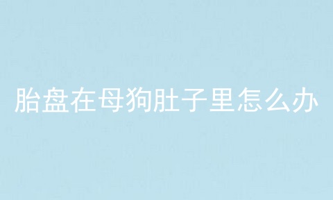 胎盘在母狗肚子里怎么办