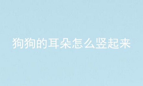 狗狗的耳朵怎么竖起来