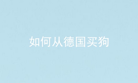 如何从德国买狗