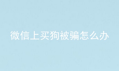 微信上买狗被骗怎么办