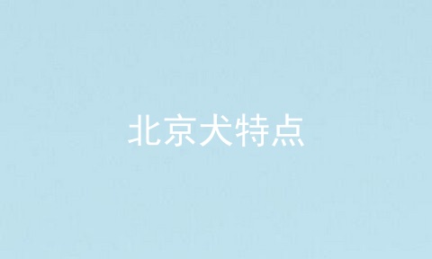 北京犬特点