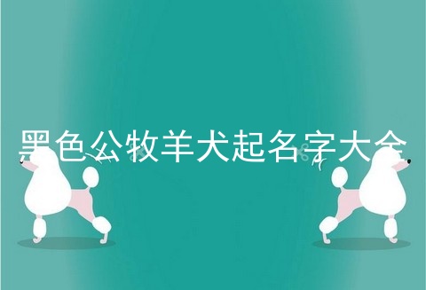 黑色公牧羊犬起名字大全