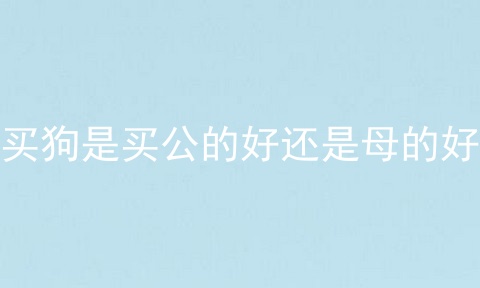 买狗是买公的好还是母的好