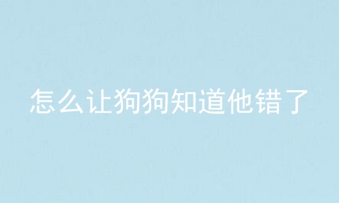 怎么让狗狗知道他错了