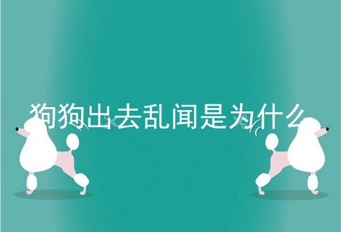 狗狗出去乱闻是为什么
