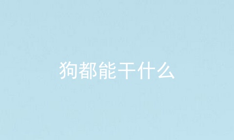 狗都能干什么