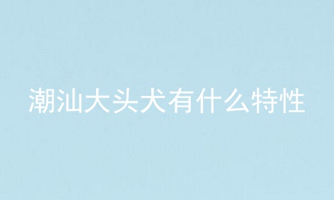 潮汕大头犬有什么特性