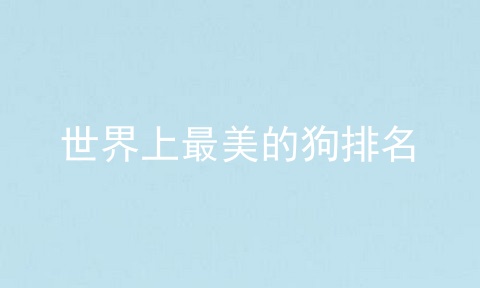 世界上最美的狗排名