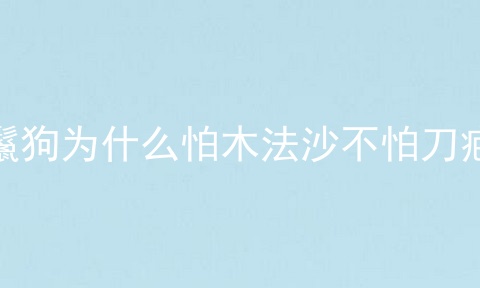 鬣狗为什么怕木法沙不怕刀疤