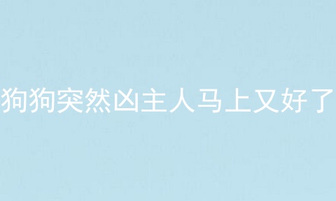 狗狗突然凶主人马上又好了