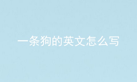 一条狗的英文怎么写
