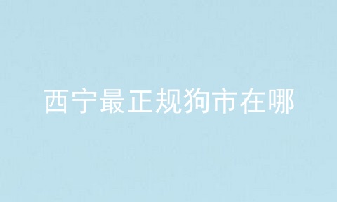 西宁最正规狗市在哪