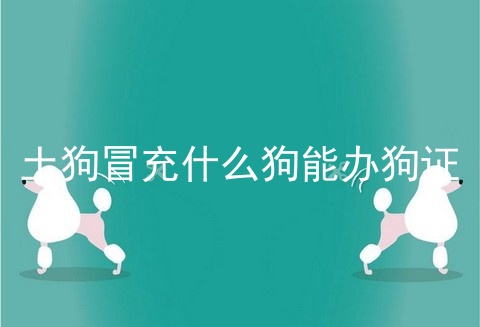 土狗冒充什么狗能办狗证