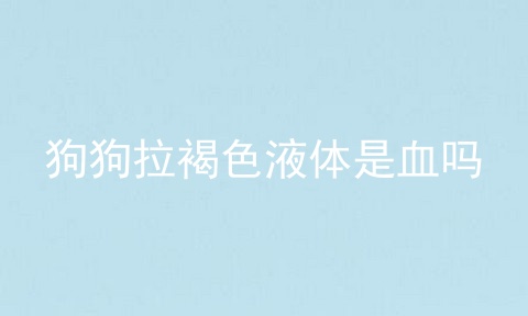 狗狗拉褐色液体是血吗