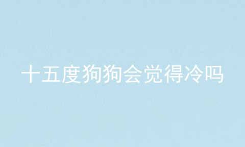 十五度狗狗会觉得冷吗
