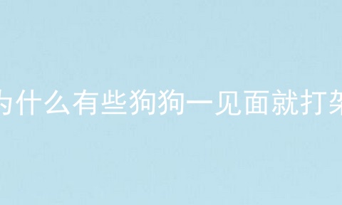 为什么有些狗狗一见面就打架