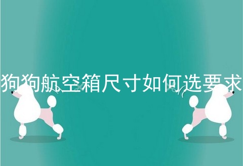 狗狗航空箱尺寸如何选要求