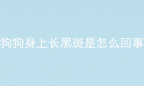 狗狗身上长黑斑是怎么回事