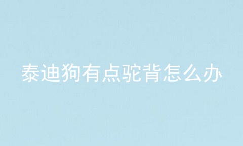 泰迪狗有点驼背怎么办