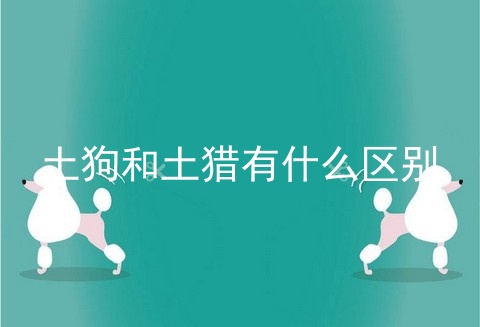 土狗和土猎有什么区别