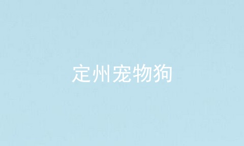 定州宠物狗