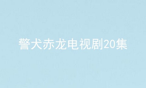 警犬赤龙电视剧20集