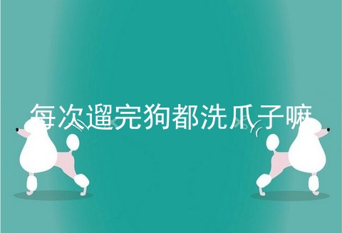 每次遛完狗都洗爪子嘛