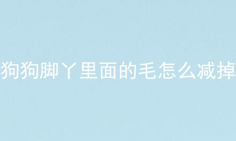 狗狗脚丫里面的毛怎么减掉
