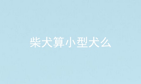柴犬算小型犬么