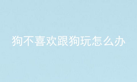 狗不喜欢跟狗玩怎么办