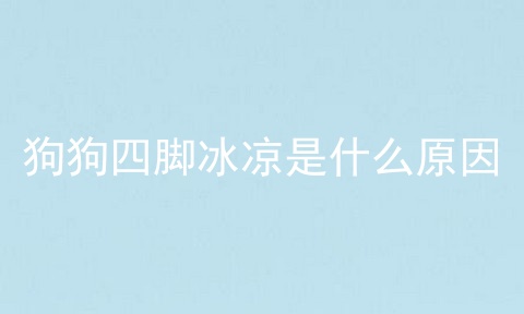 狗狗四脚冰凉是什么原因