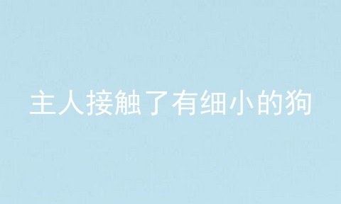 主人接触了有细小的狗