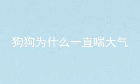 狗狗为什么一直喘大气