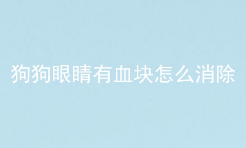 狗狗眼睛有血块怎么消除