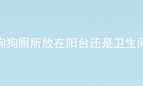 狗狗厕所放在阳台还是卫生间