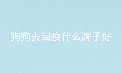 狗狗去泪痕什么牌子好