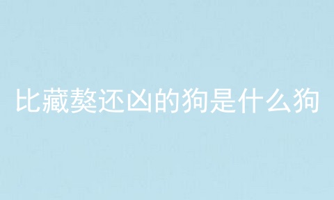 比藏獒还凶的狗是什么狗
