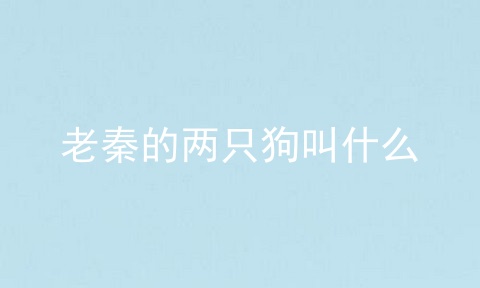 老秦的两只狗叫什么