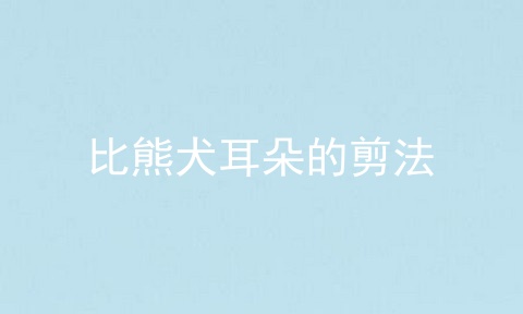比熊犬耳朵的剪法