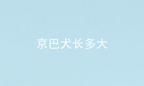 京巴犬长多大