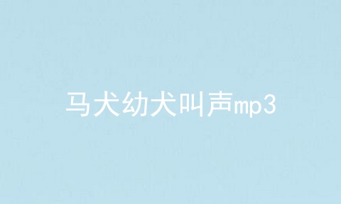 马犬幼犬叫声mp3