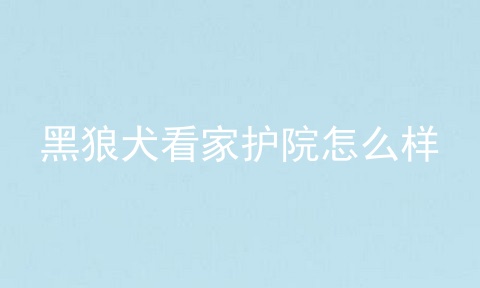 黑狼犬看家护院怎么样