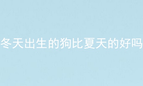 冬天出生的狗比夏天的好吗